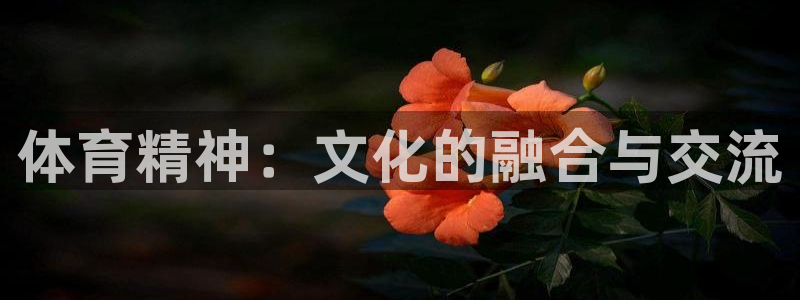 xc体育