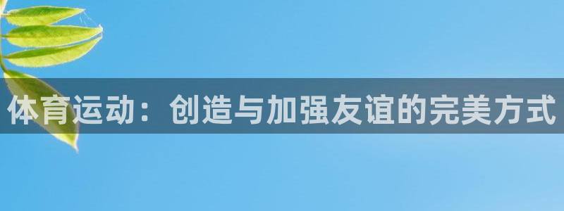 xc体育