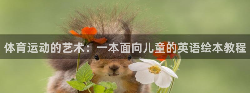 xc体育
