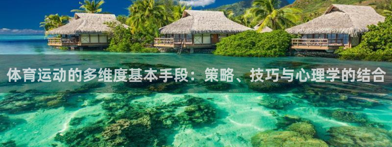 xc体育app官方网站