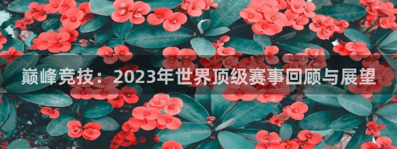 xc体育app官方网站：巅峰竞技：2023年世界顶级赛事回顾与展望