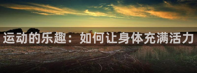 xc体育app官方网站：运动的乐趣：如何让身体充满活力