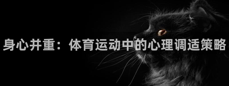 xc体育