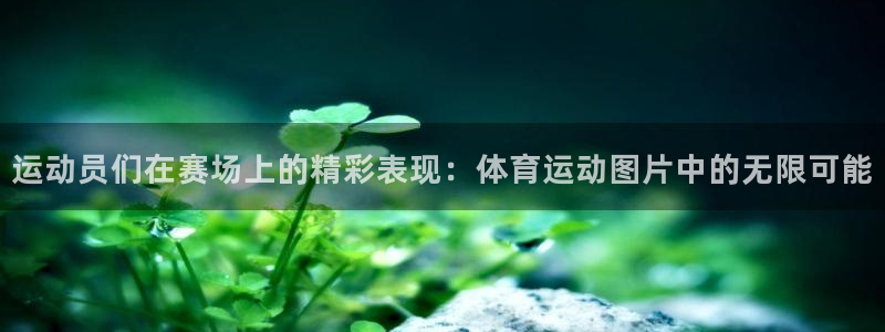 xc体育app官方网站