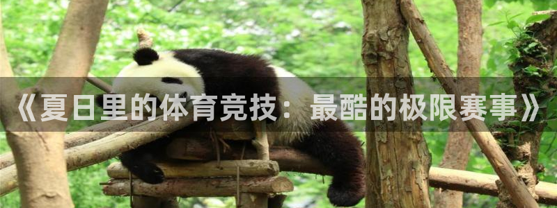 xc体育app官方网站