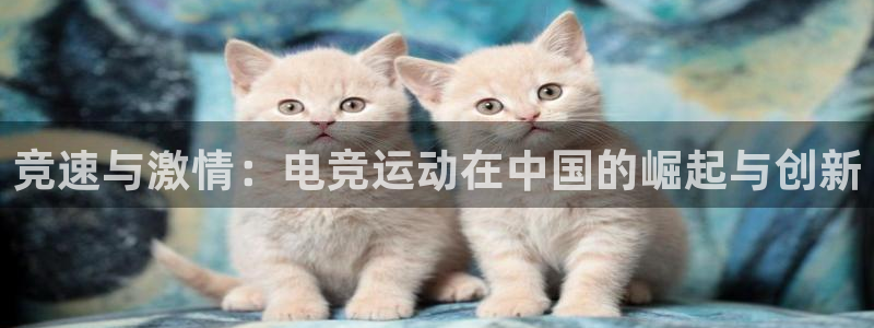 xc体育：竞速与激情：电竞运动在中国的崛起与创新