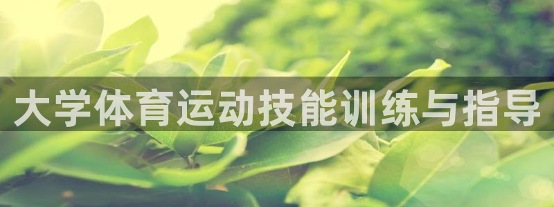 xc体育app官方网站