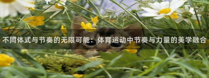 xc体育：不同体式与节奏的无限可能：体育运动中节奏与力量的美学融合